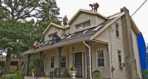 Best Gutter Installation and Roofing  in , GA